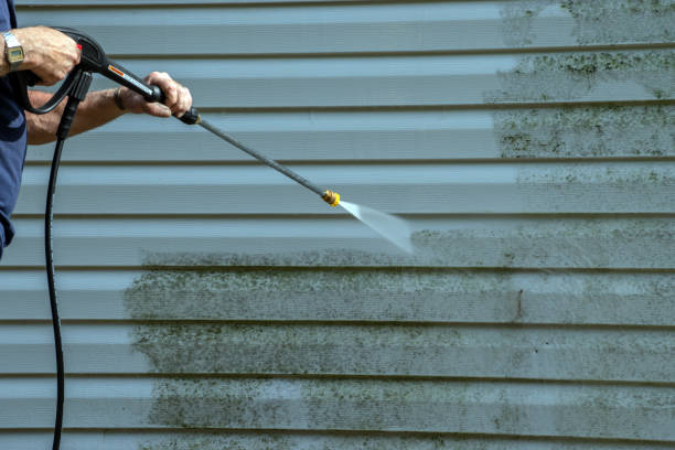 Best Roof Power Washing Services  in Many, LA